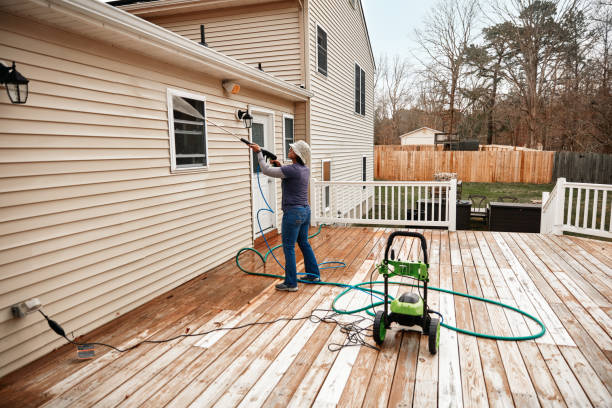 Best Affordable Pressure Washing  in Canby, MN