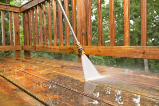 Best Residential Pressure Washing Services  in Canby, MN