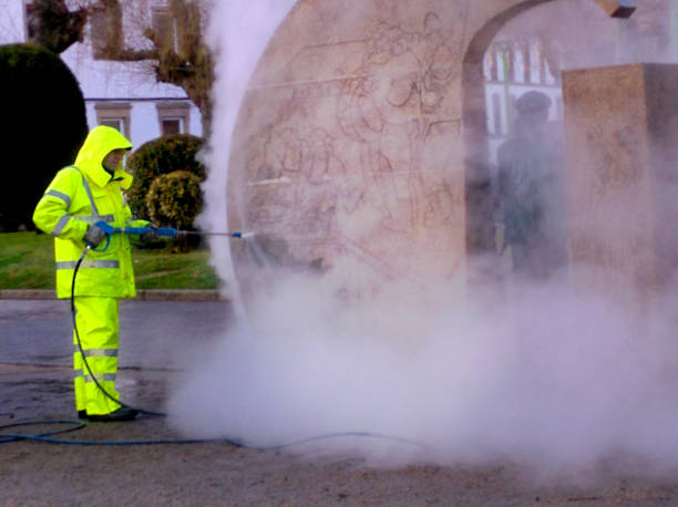 Best Affordable Pressure Washing  in Canby, MN