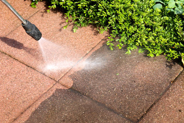 Best Fence Pressure Washing  in Canby, MN